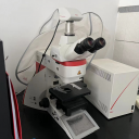 全自动立体显微镜（进口）
