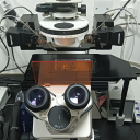 高级研究用倒置荧光显微镜