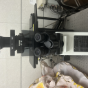 激光扫描共聚焦显微镜