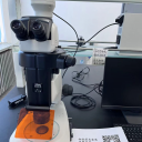 体视荧光变焦显微系统