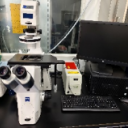 智能型荧光倒置显微成像系统