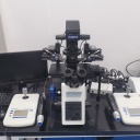 显微操作系统（进口）