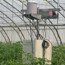 植物生理生态监测系统