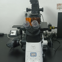 高分辨倒置荧光显微系统（进口）